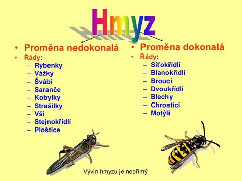 proměna dokonalá a nedokonalá rozdíl|Hmyz